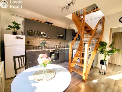 Продажа квартиры 1+1 Starý Plzenec, Herejkova 1013 č. 2