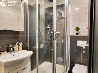 Продажа квартиры 1+1 Starý Plzenec, Herejkova 1013 č. 4