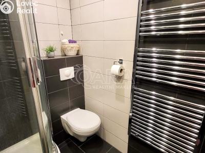 Продажа квартиры 1+1 Starý Plzenec, Herejkova 1013 č. 5