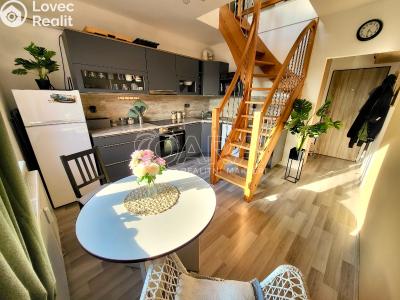 Продажа квартиры 1+1 Starý Plzenec, Herejkova 1013 č. 6