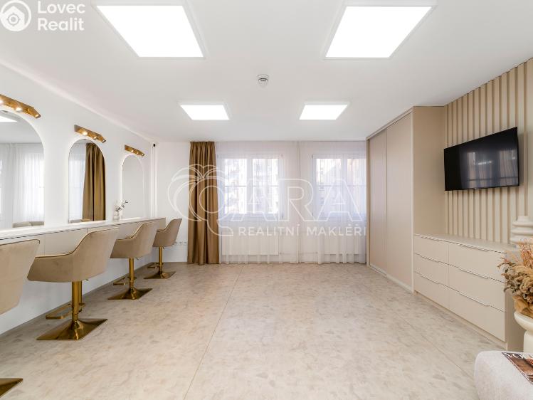 Оренда комерційної нерухомості Ostrava, Přívozská 133/4 č. 11