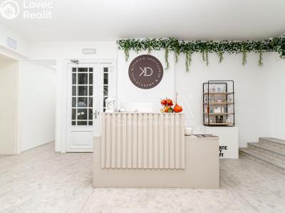 Rent commercial properties Ostrava, Přívozská č. 1