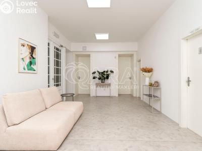 Rent commercial properties Ostrava, Přívozská č. 3