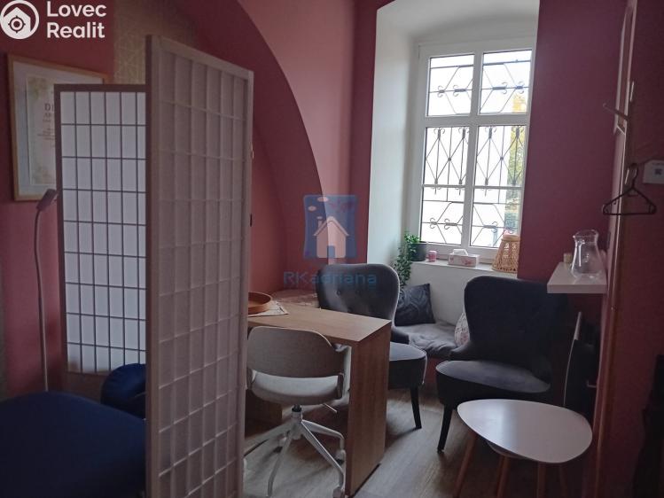 Pronájem obchodního prostoru Plzeň, sady 5. května č. 1