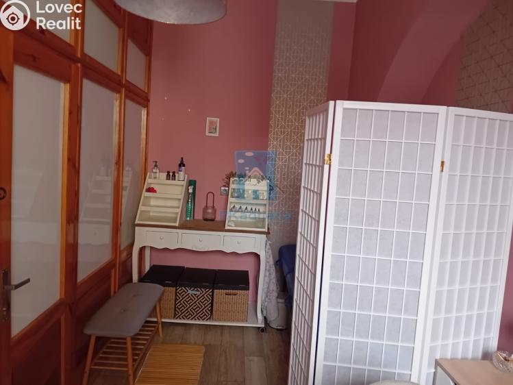 Pronájem obchodního prostoru Plzeň, sady 5. května č. 2