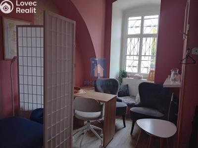 Pronájem obchodního prostoru Plzeň, sady 5. května č. 1