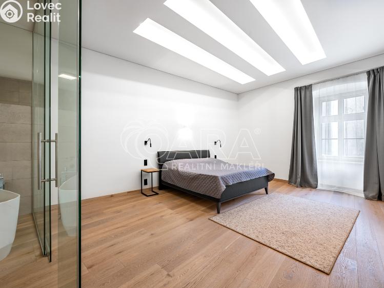 Pronájem bytu 3+KK Praha, Truhlářská č. 13