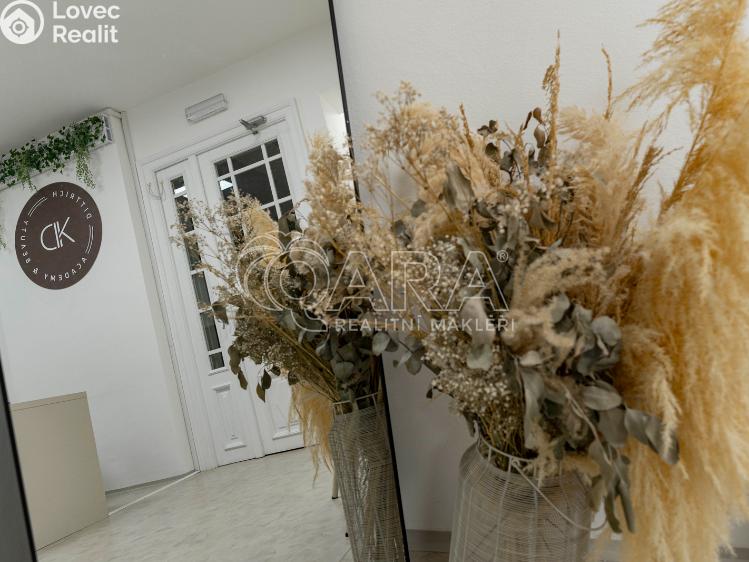 Pronájem komerční nemovitosti Ostrava, Přívozská 133/4 č. 21