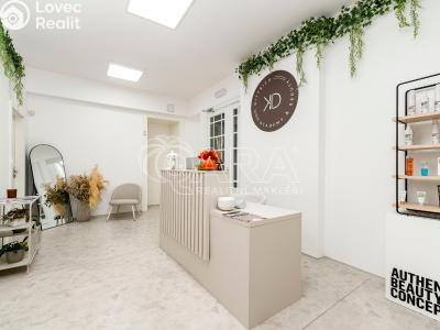 Rent commercial properties Ostrava, Přívozská č. 5