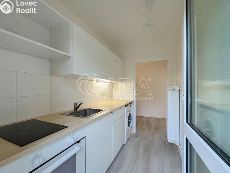 Pronájem bytu 2+1 Lenora č. 1