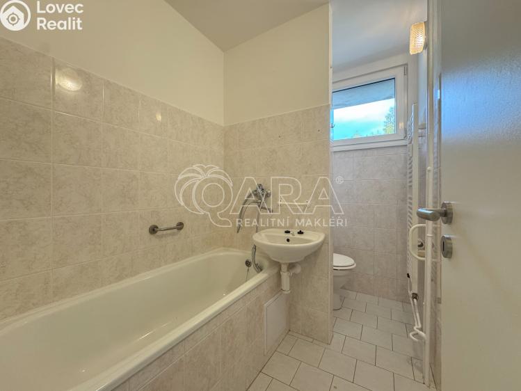 Pronájem bytu 2+1 Lenora č. 8