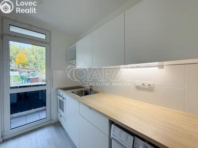 Pronájem bytu 2+1 Lenora č. 2