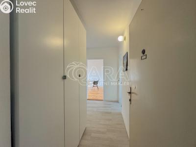 Pronájem bytu 2+1 Lenora č. 6
