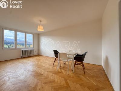 Pronájem bytu 2+1 Lenora č. 5