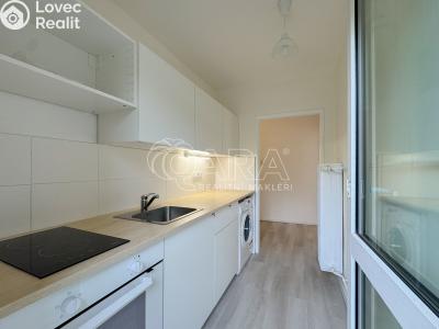 Rent apartment 2+1 Lenora č. 4