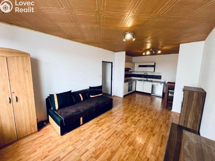 Pronájem bytu 2+KK Planá, Bohušova 786 č. 2