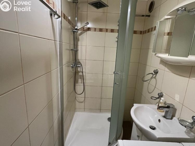 Pronájem bytu 2+KK Planá, Bohušova 786 č. 8