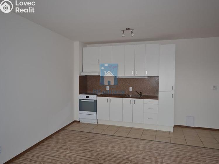 Pronájem bytu 2+KK Plzeň, Hluboká č. 1