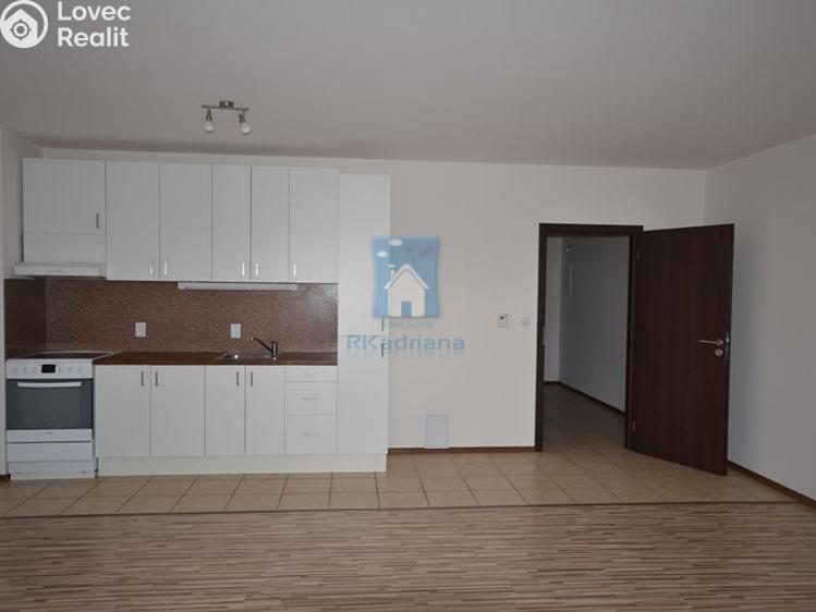 Pronájem bytu 2+KK Plzeň, Hluboká č. 2