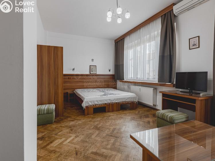 Rent apartment 1+KK Praha, Krakovská č. 1