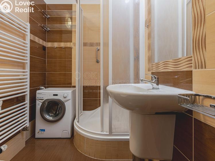 Rent apartment 1+KK Praha, Krakovská č. 10