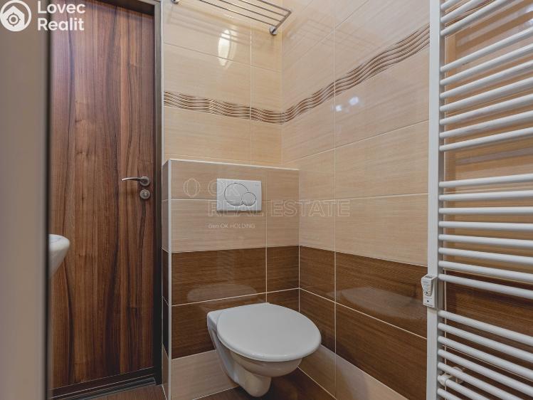 Rent apartment 1+KK Praha, Krakovská č. 12