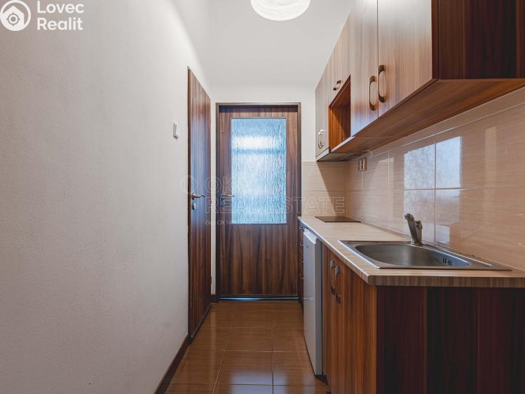 Rent apartment 1+KK Praha, Krakovská č. 13