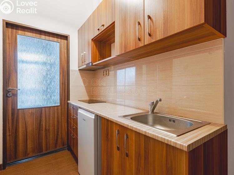 Rent apartment 1+KK Praha, Krakovská č. 14