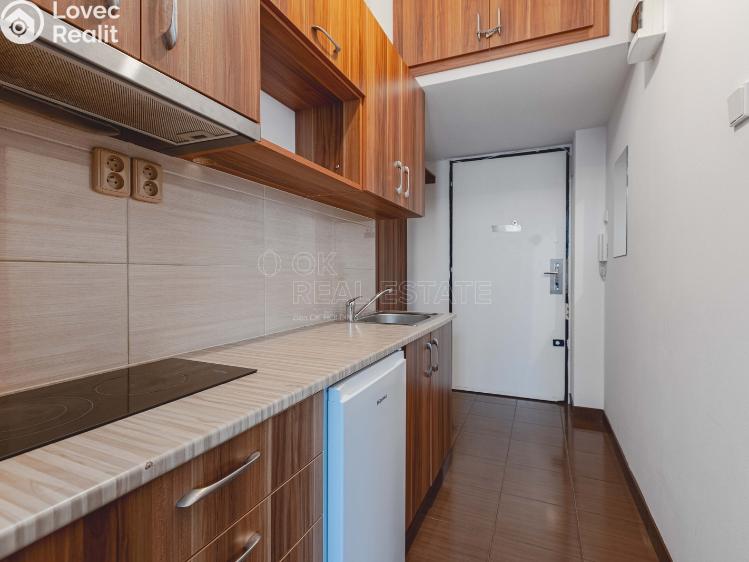 Rent apartment 1+KK Praha, Krakovská č. 15