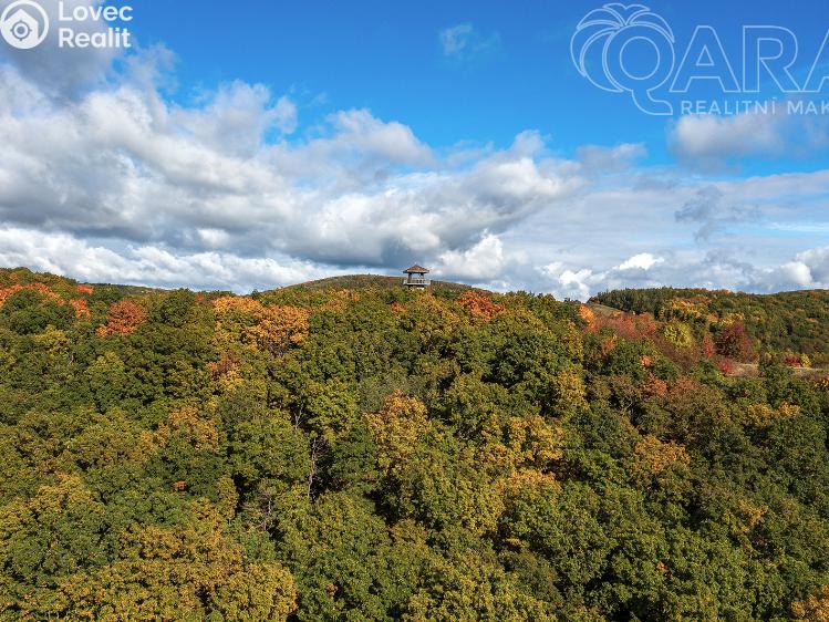 Pronájem bytu 2+KK Ústí nad Labem, Rabasova 3186/25 č. 36