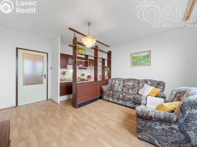 Pronájem bytu 2+KK Ústí nad Labem, Rabasova č. 5