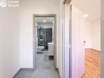 Pronájem bytu 1+KK Letovice, Pražská č. 6