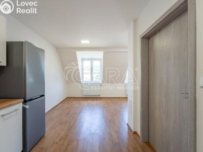 Pronájem bytu 4+KK Letovice, Pražská č. 4