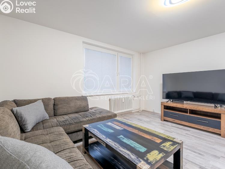 Pronájem bytu 1+KK Brno, Ševelova 2276/5 č. 5