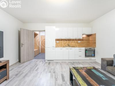 Pronájem bytu 1+KK Brno, Ševelova č. 1