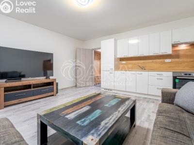 Pronájem bytu 1+KK Brno, Ševelova č. 3