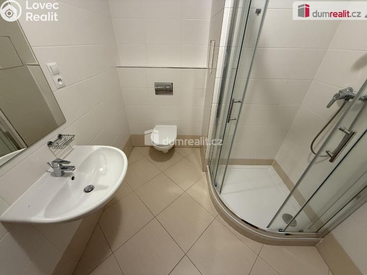 Pronájem bytu 1+KK Praha-Řeporyje, Toufarova č. 10