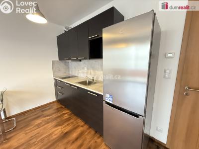 Pronájem bytu 1+KK Praha-Řeporyje, Toufarova č. 3