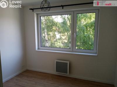 Pronájem bytu 2+KK Děčín, Zelená č. 5