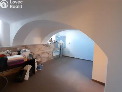 Оренда торгового приміщення Plzeň, sady 5. května č. 5