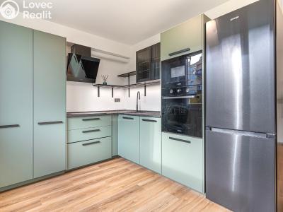 Продажа квартиры 2+KK Mladá Boleslav, U stadionu č. 2