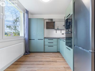 Продажа квартиры 2+KK Mladá Boleslav, U stadionu č. 1