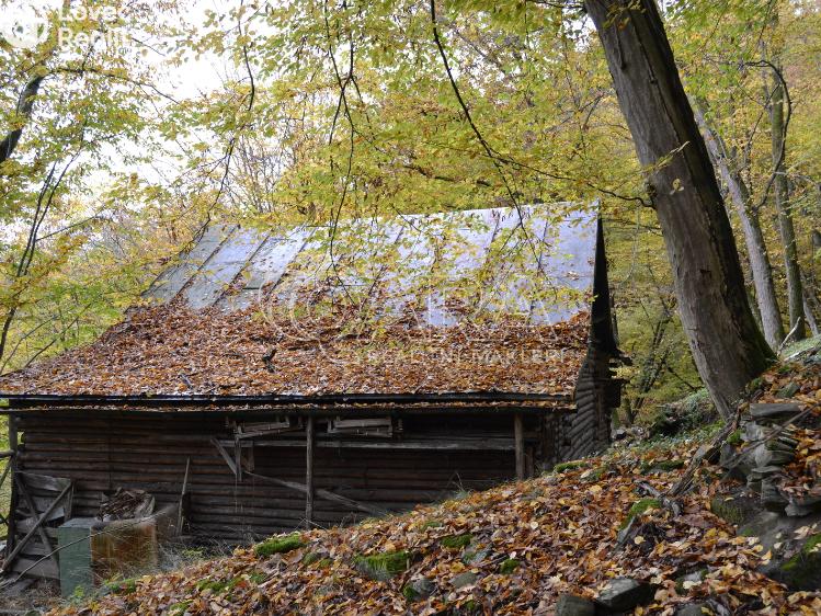 Sale hut Štěchovice č. 5