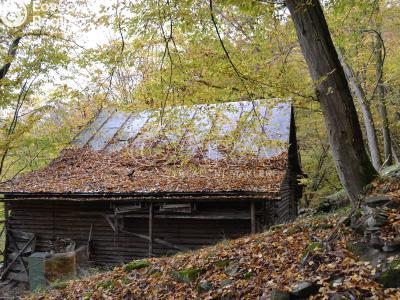 Prodej chaty Štěchovice č. 5