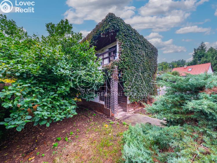 Sale hut Černé Voděrady, Havírna 4149 č. 1