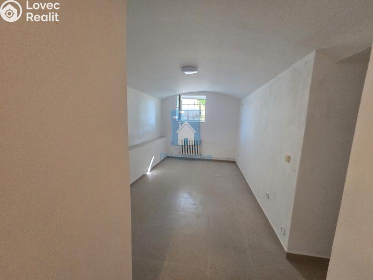 Pronájem obchodního prostoru Plzeň, Černická č. 2