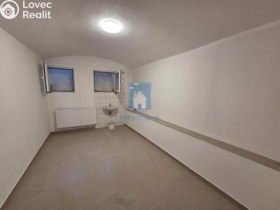 Pronájem obchodního prostoru Plzeň, Černická č. 1