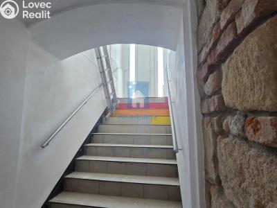 Pronájem obchodního prostoru Plzeň, Černická č. 6