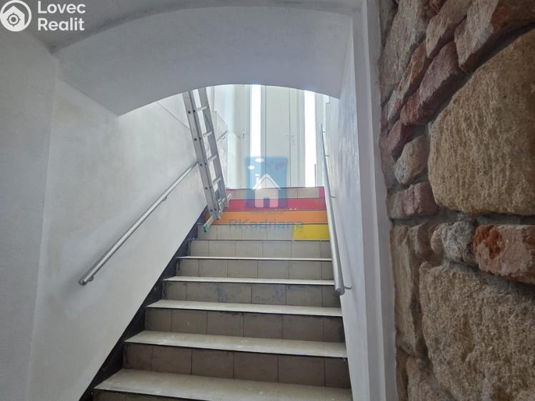 Оренда торгового приміщення Plzeň, Černická č. 1