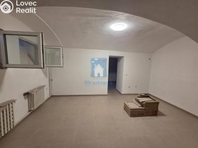 Pronájem obchodního prostoru Plzeň, Černická č. 5